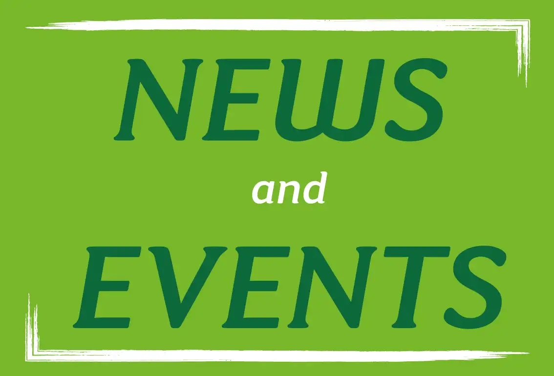 News Site